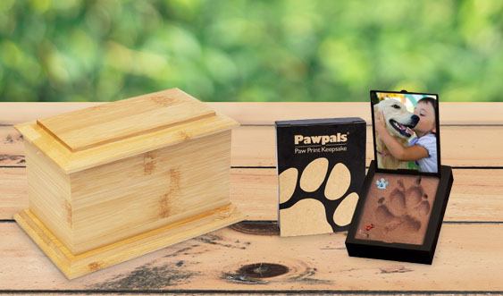 Types of Cat Cremation Services