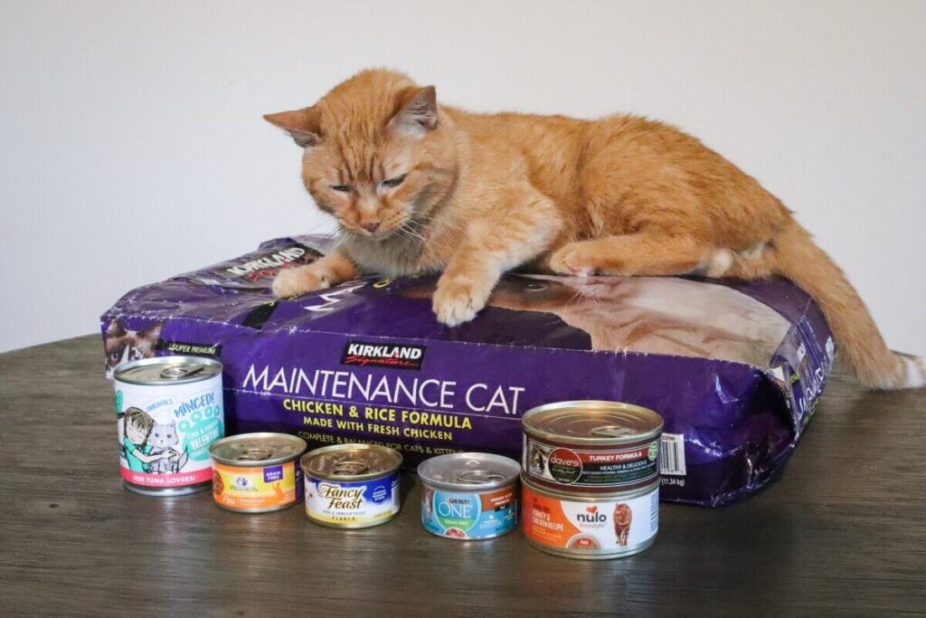 Popular Types of Canned Cat Food