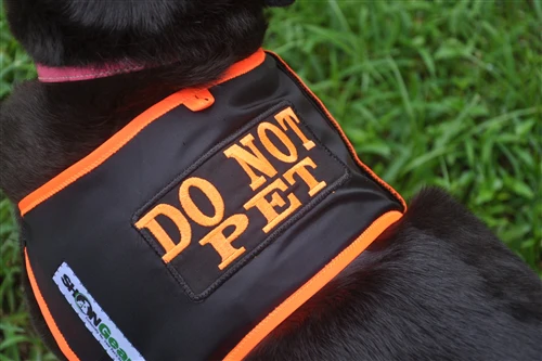 Why Use a "Do Not Pet" Dog Vest?