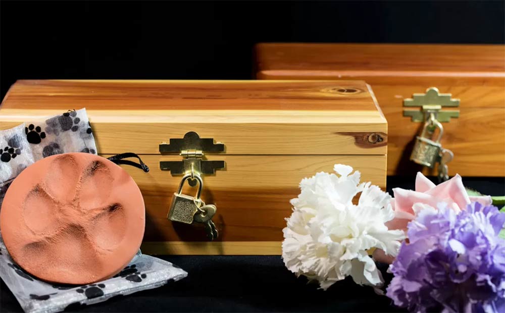 Types of Pet Cremation Services:
