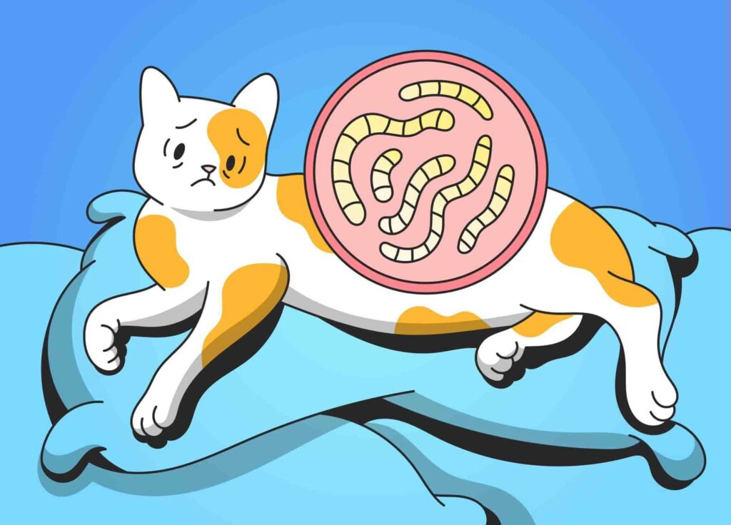 How Do Indoor Cats Get Worms Without Going Outside?