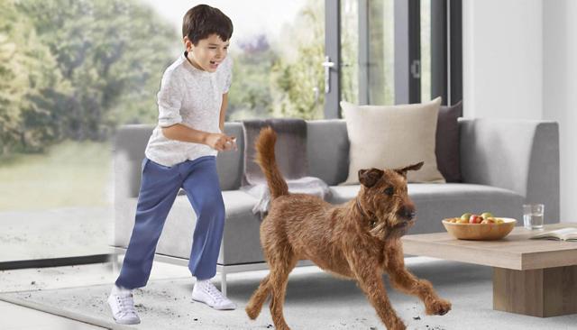 Unique Insights on Pet Allergies