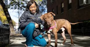 Heartworm Prevention Cost and Accessibility