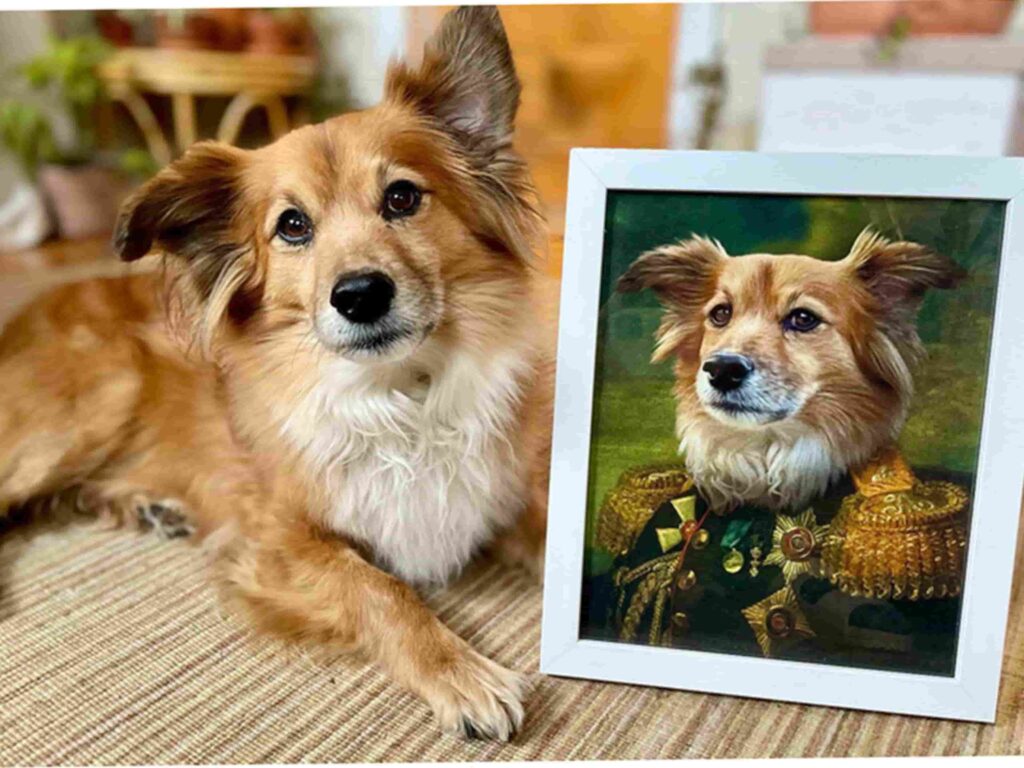 Custom Pet Portraits