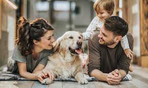 Suitability as a Family Dog