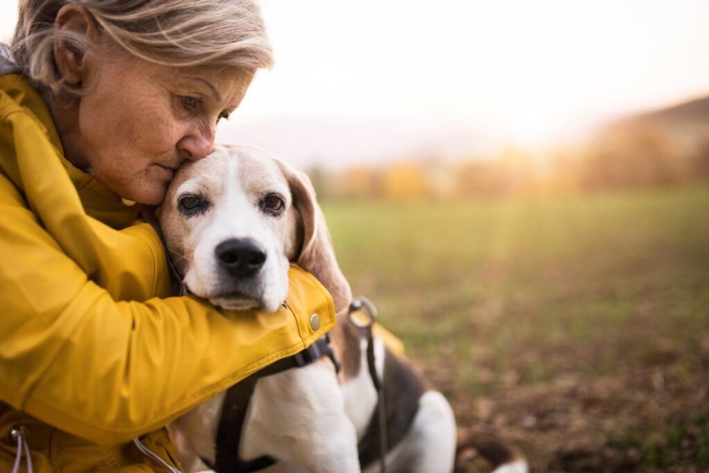 How to Save on Dog Cremation Costs?