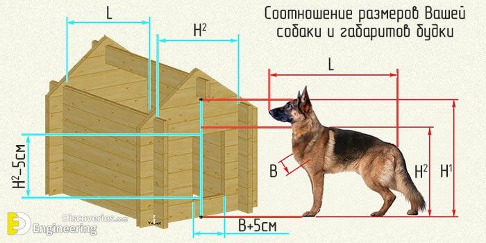 Typical German Shepherd Dog House Size